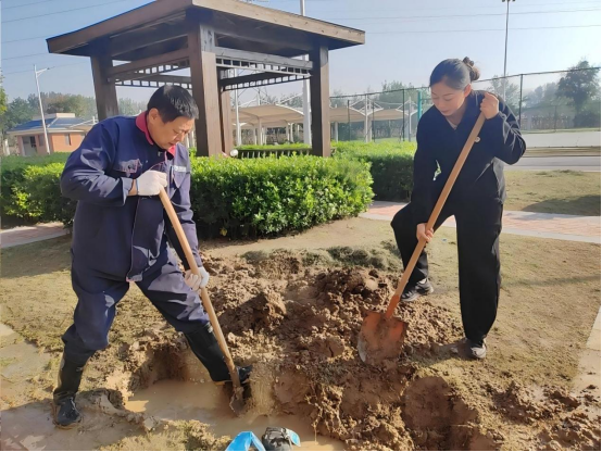 from clipboard from clipboard