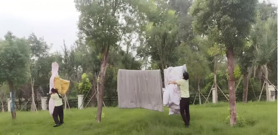 from clipboard