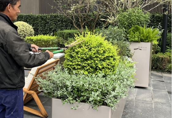 from clipboard from clipboard