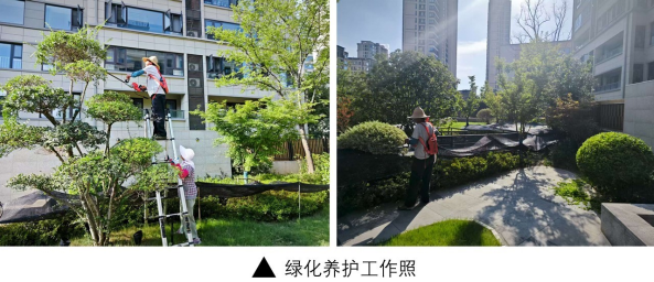 from clipboard from clipboard