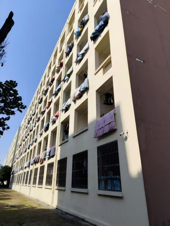 from clipboard from clipboard