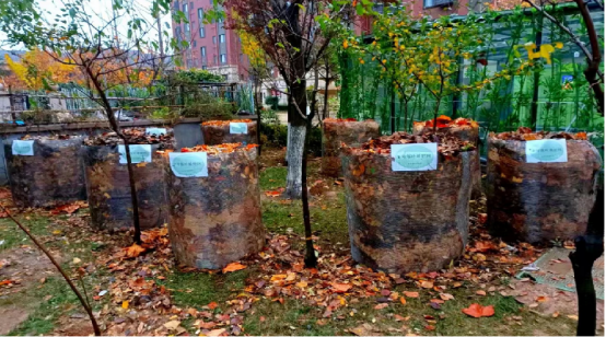 from clipboard from clipboard